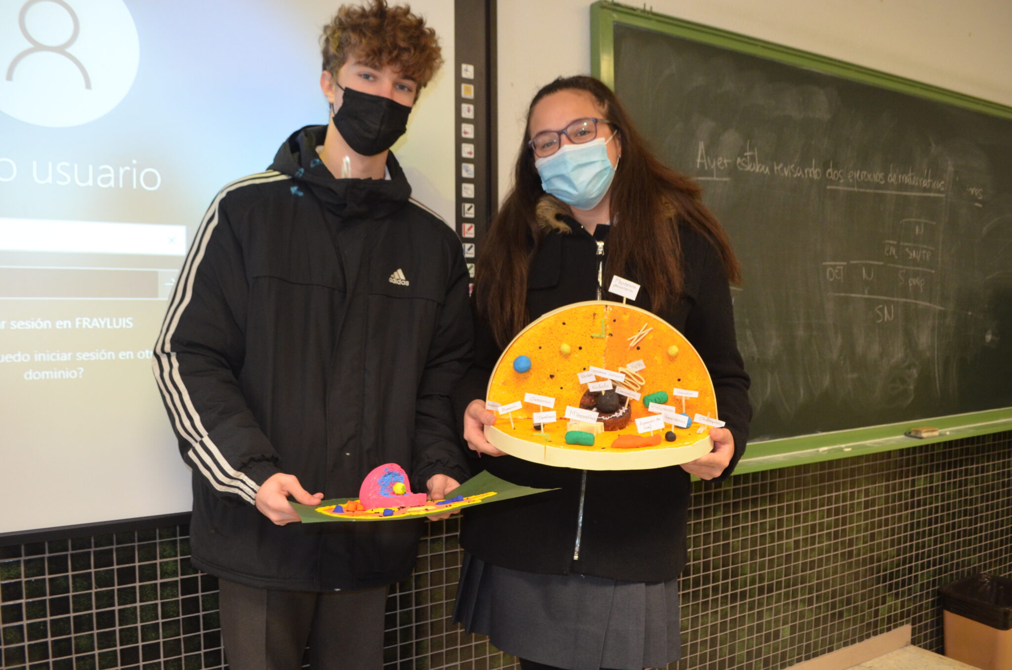 Exposición virtual de maquetas de células en 3º ESO Colegio SCJ Fray Luis